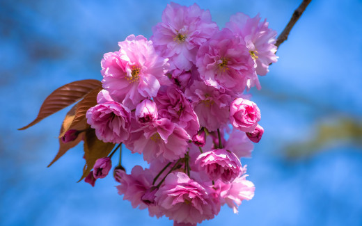 1182605 (a): :2880x1800